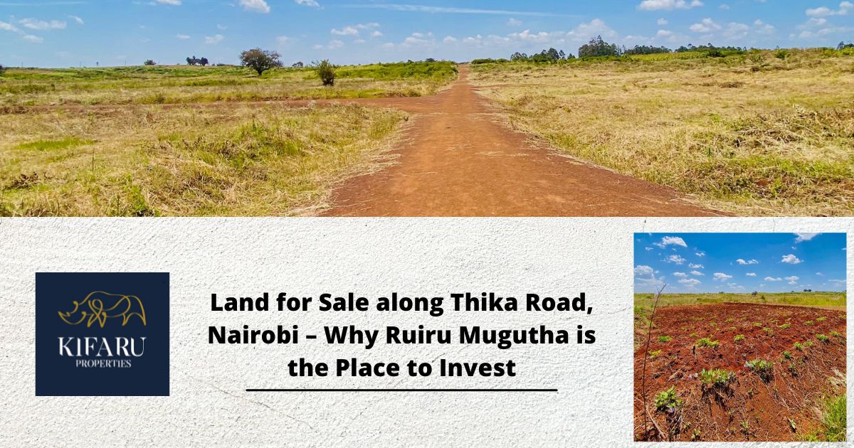 MAENDELEO NI RUIRU (16)